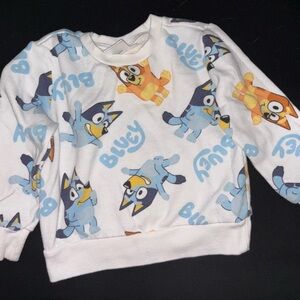 Bluey Bundle (2 outfits/1 sweater) 2T